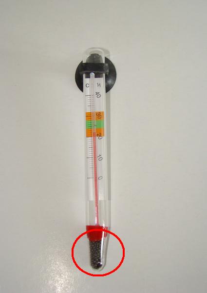 TermometroAcquario.jpg
