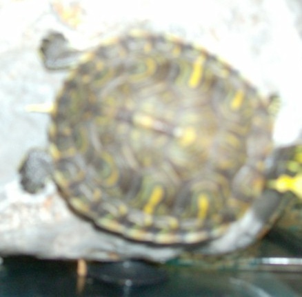 HPIM0826.JPG