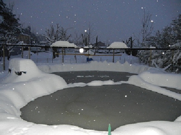 DSCN8182.JPG