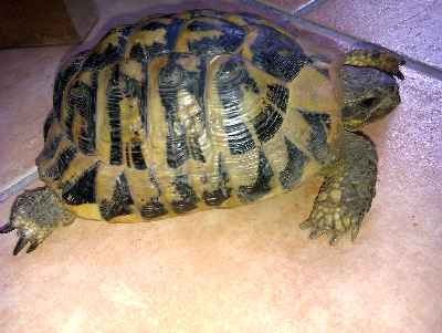 IMAG0099.jpg