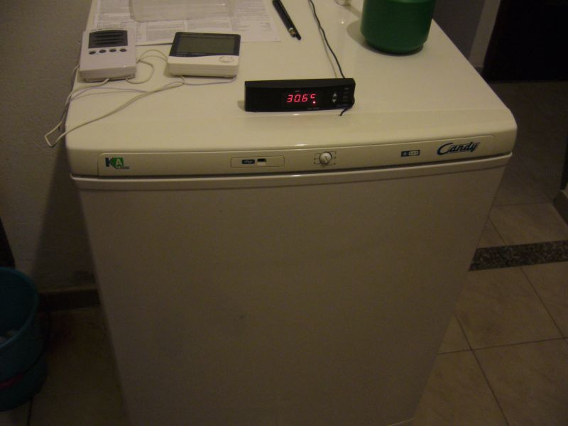 P1000831.jpg