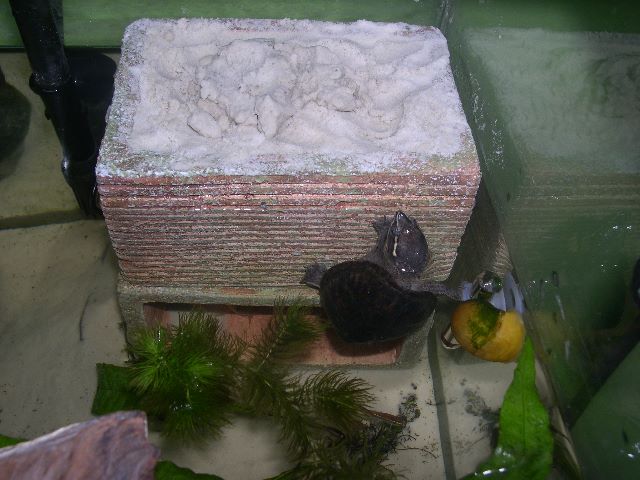 dscn5187.jpg
