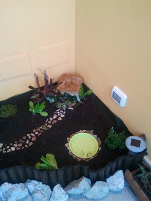 2012-09-10 19.32.38.jpg