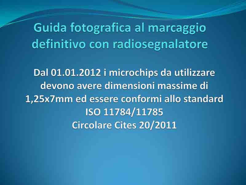 Guida-microchip_Pagina_2.jpg