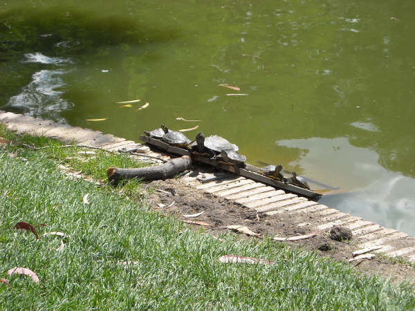 DSCN0151.JPG