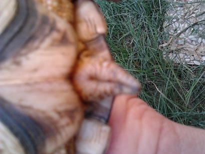 2013-07-07 17.03.43.jpg