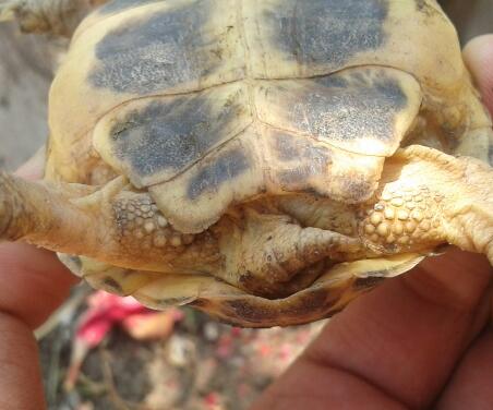 2013-07-08 12.58.36-1.jpg