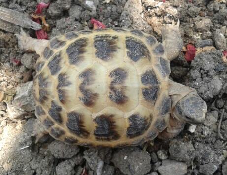 2013-07-08 12.57.43-1.jpg