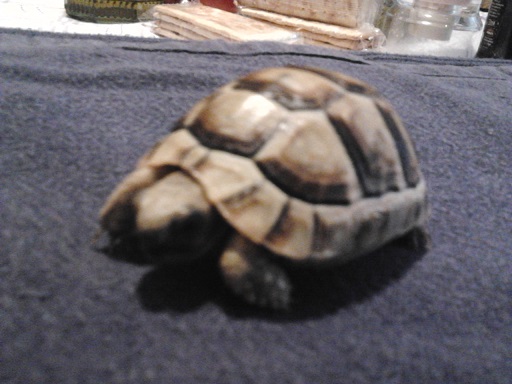 2013-07-10 16.53.15.jpg