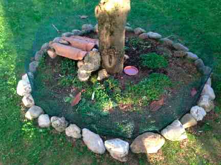 2013-09-04 18.43.52.jpg