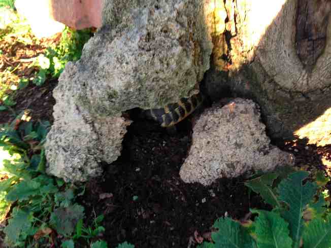 2013-09-03 19.01.52.jpg