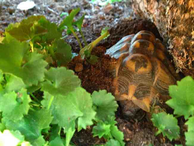 2013-09-03 19.02.01.jpg