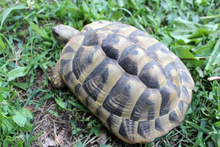 IMG_3942 (FILEminimizer) (FILEminimizer).JPG