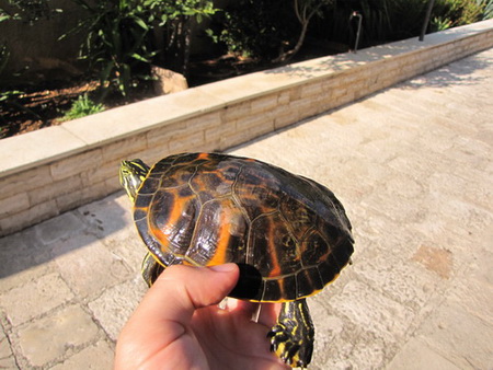 IMG_2033_resize_resize.JPG
