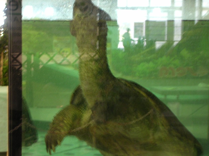 DSCN1625.JPG