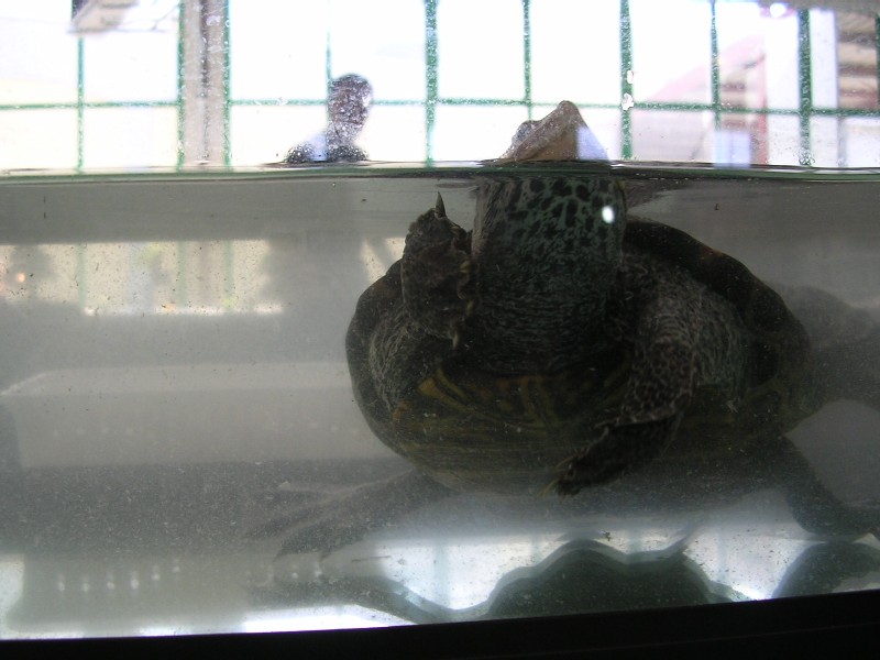 DSCN1629.JPG