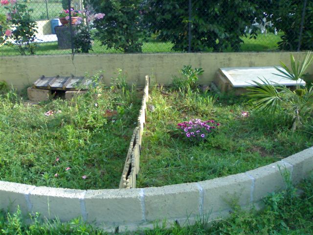 260520091109.jpg