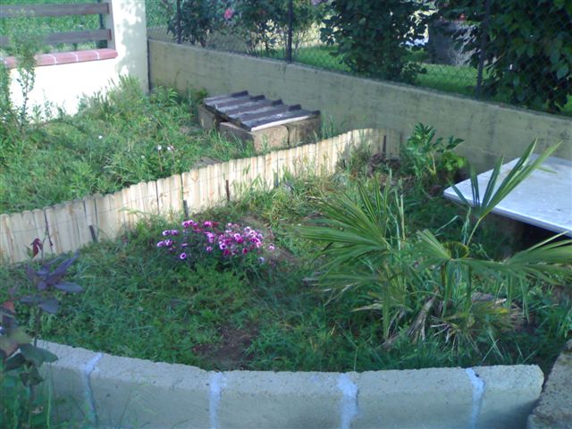 260520091111.jpg
