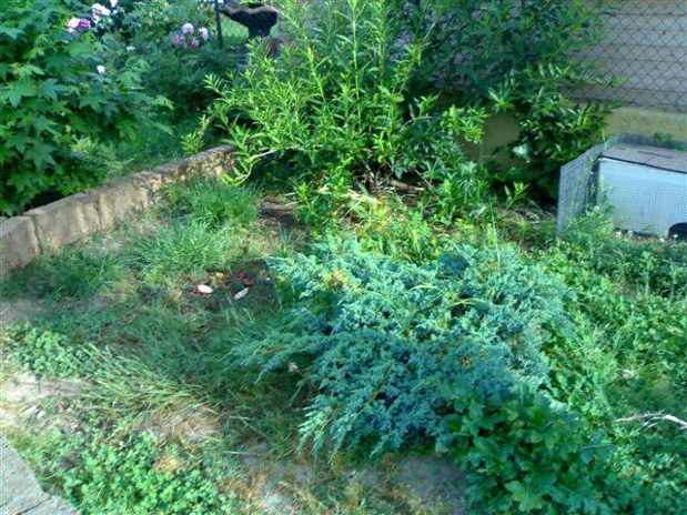 260520091114.jpg