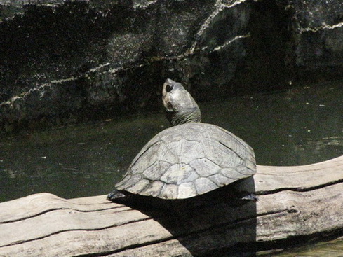 2009-11-09 18-14-45_0139ris.jpg
