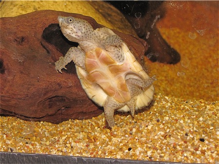 Scaled Image 6.jpg
