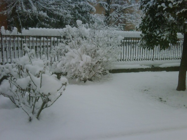 IMG00041-20100310-0733.jpg