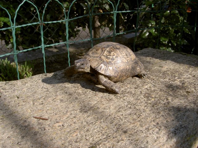 PICT0005.JPG