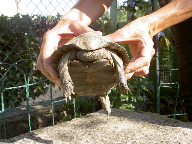 PICT0007.JPG