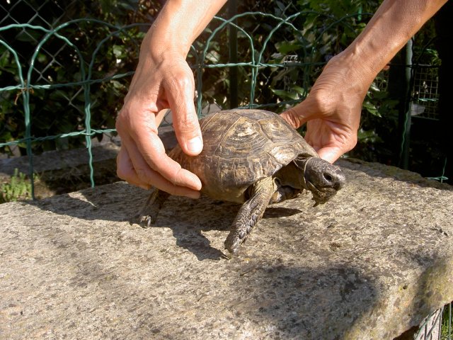 PICT0008.JPG