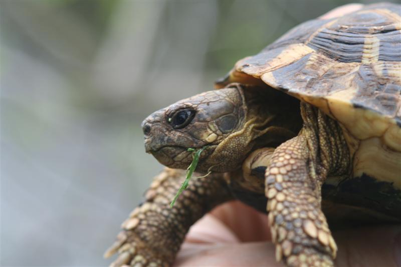 figlio3 (Medium).jpg