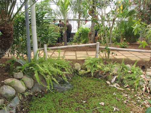 Scaled Image 7.jpg