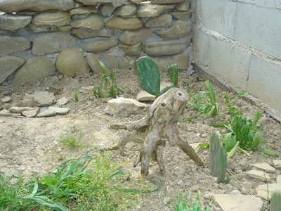 11a.jpg