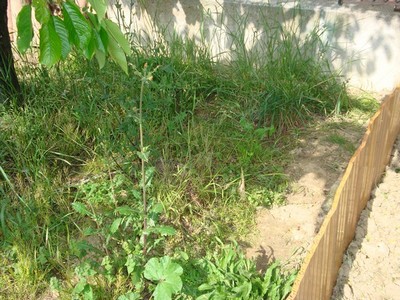 9a.jpg