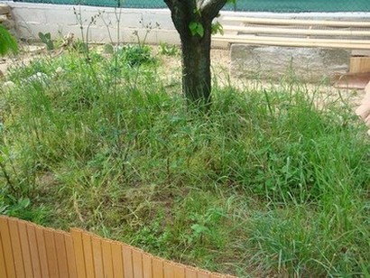 8a.jpg