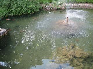 IMG_3863.JPG