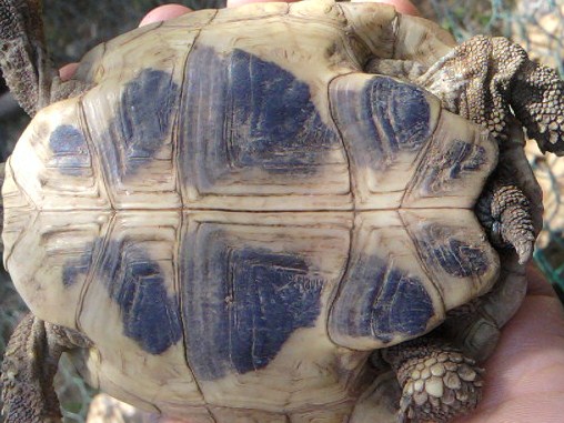 SP_A0448.jpg