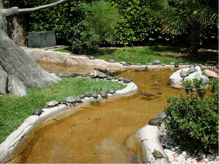 acqu1.jpg