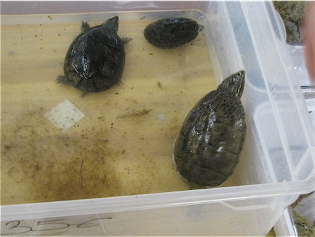 Scaled Image 34.jpg