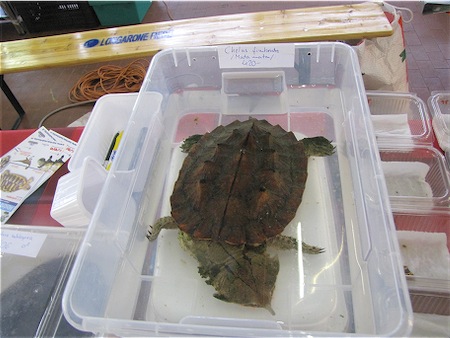 Scaled Image 39.jpg
