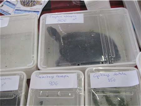 Scaled Image 40.jpg