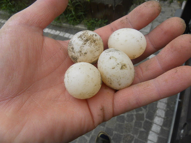 DSCN1022.JPG