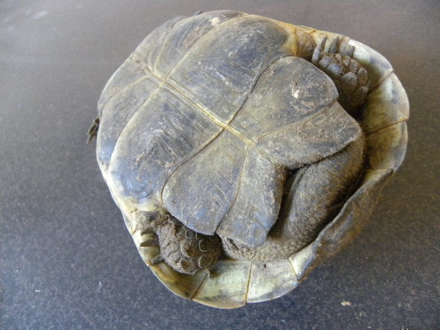 DSCN1138.JPG