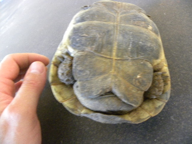DSCN1139.JPG