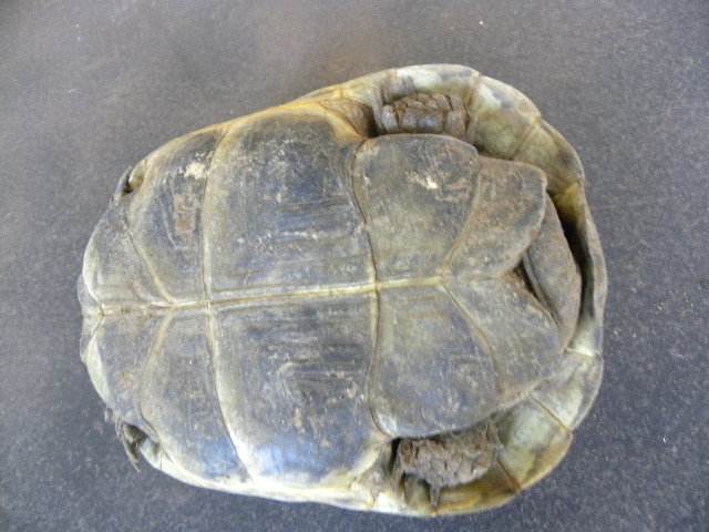 DSCN1137.JPG