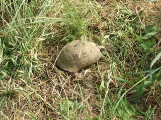 DSCF8328 [320x200].JPG