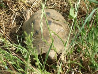 DSCF8329 [320x200].JPG