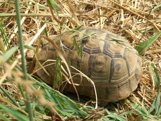 DSCF8332 [320x200].JPG