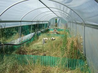 DSCF8338 [320x200].JPG