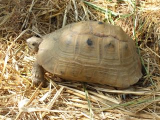 DSCF8343 [320x200].JPG