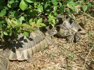 DSCF8347 [320x200].JPG